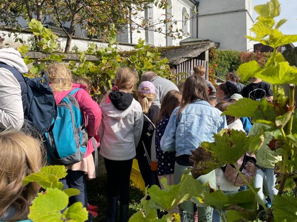 Eine spannende Führung durch den Weinberg
