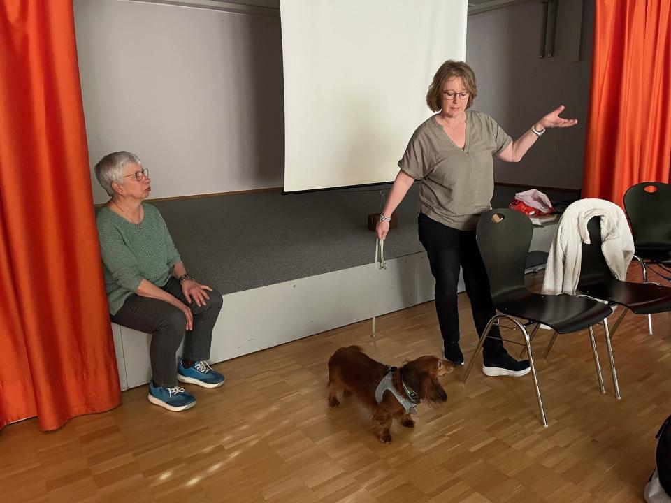 C.Mazenauer referiert