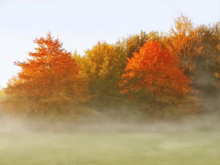 Ökum. Gedenkencafé  im Altersheim Neutal, Haus Seeheim, BERLINGEN