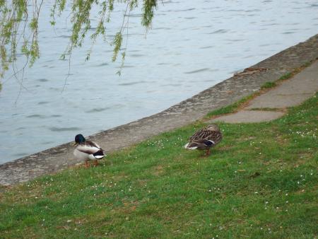 Ökum. Seniorenwanderung im Juni