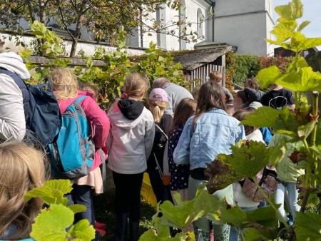 Eine spannende Führung durch den Weinberg