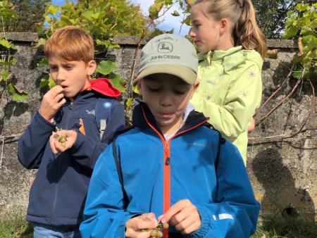 Weinberg-Besichtigung in Bussnang mit den Erstkommunionkindern
