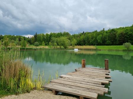 Ökumenische Seniorenwanderung - von Dachsen nach Rheinau August  2025