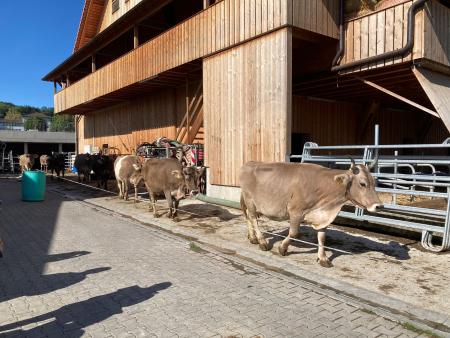 Ökumenische Seniorenreise nach Bremgarten