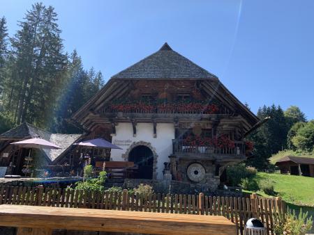 Unterwegs in den Schwarzwald