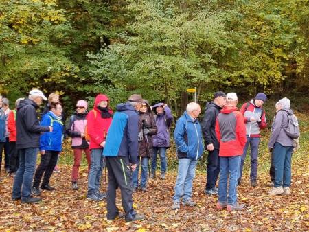 Helsighausen – Arenenberg – Mannenbach