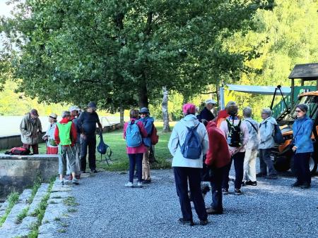 Von Dachsen zur Rheinau