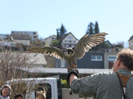 Impressionen Kirche Kunterbunt 2025