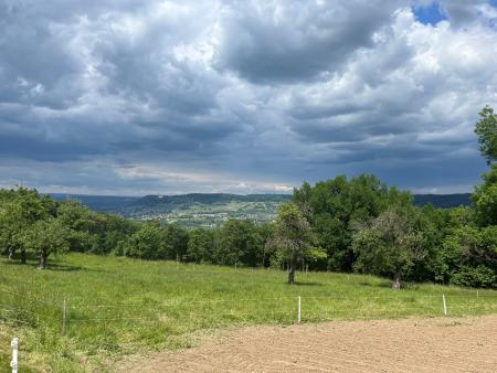 Blick über Feld und Wald