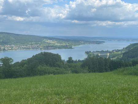 Blick auf den Untersee
