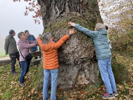 Ökumenische Seniorenwanderung im November 2025