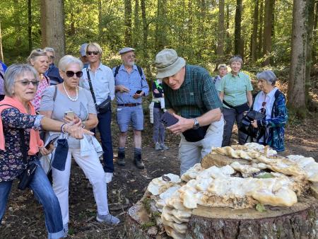 Ökumenische Seniorenwanderung im Oktober_Rückblick