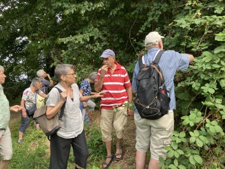 Ökumenische Seniorenwanderung im August-Rückblick