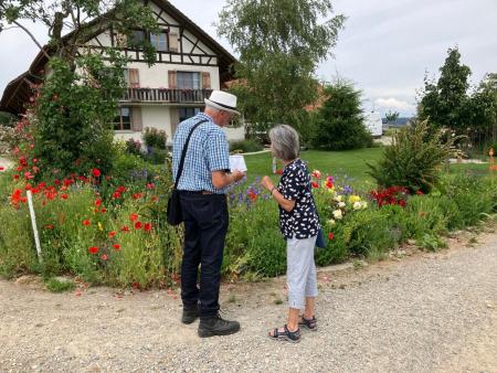 Ökum. Seniorenwanderung im Juli
