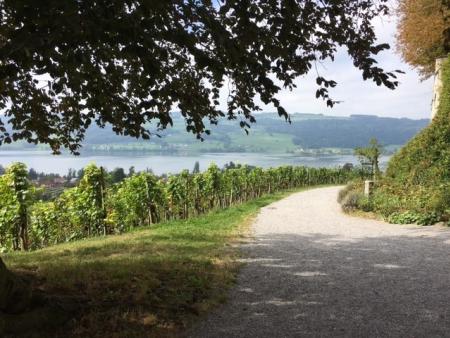 Ökumenischer Seniorenausflug zum Hallwilersee
