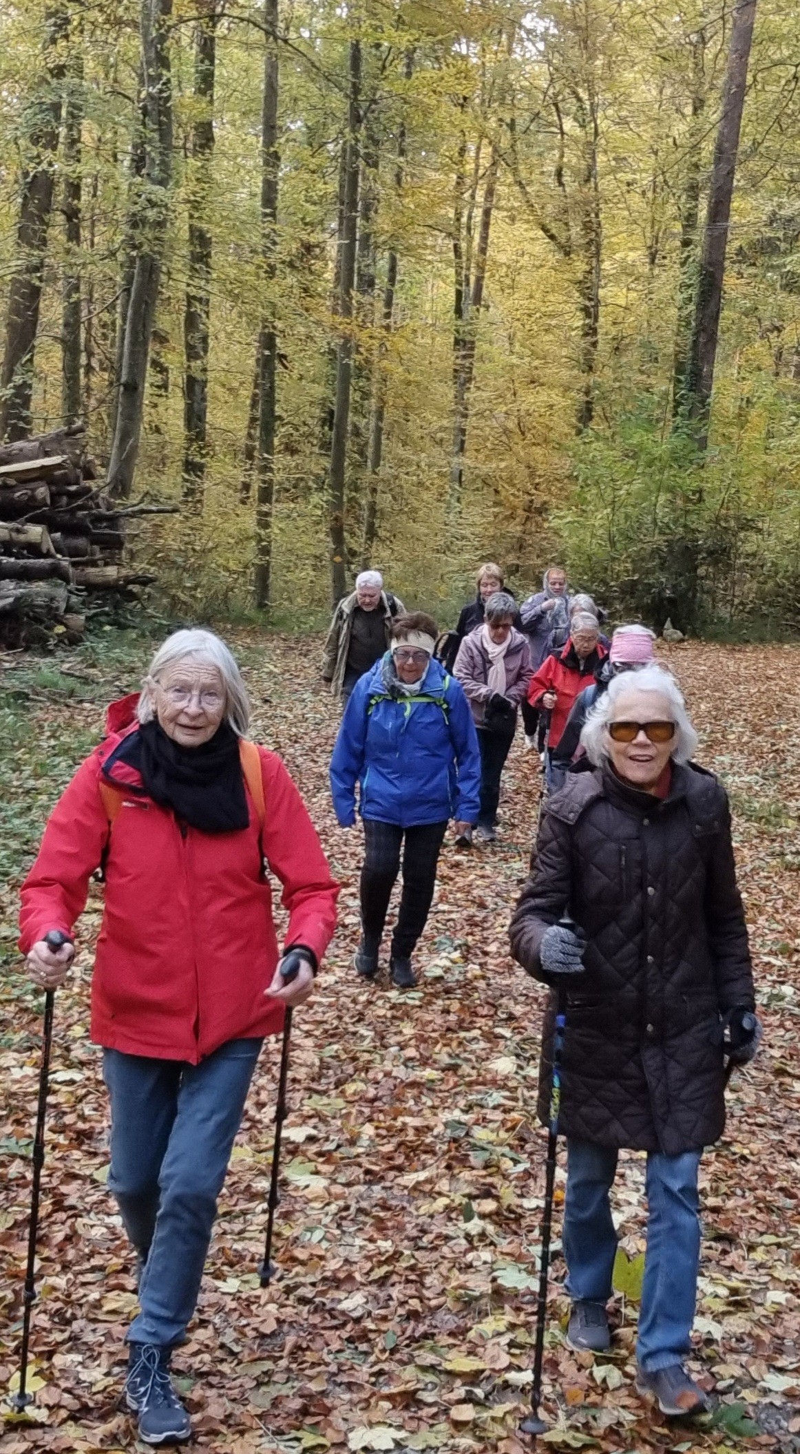 Wanderer im Wald