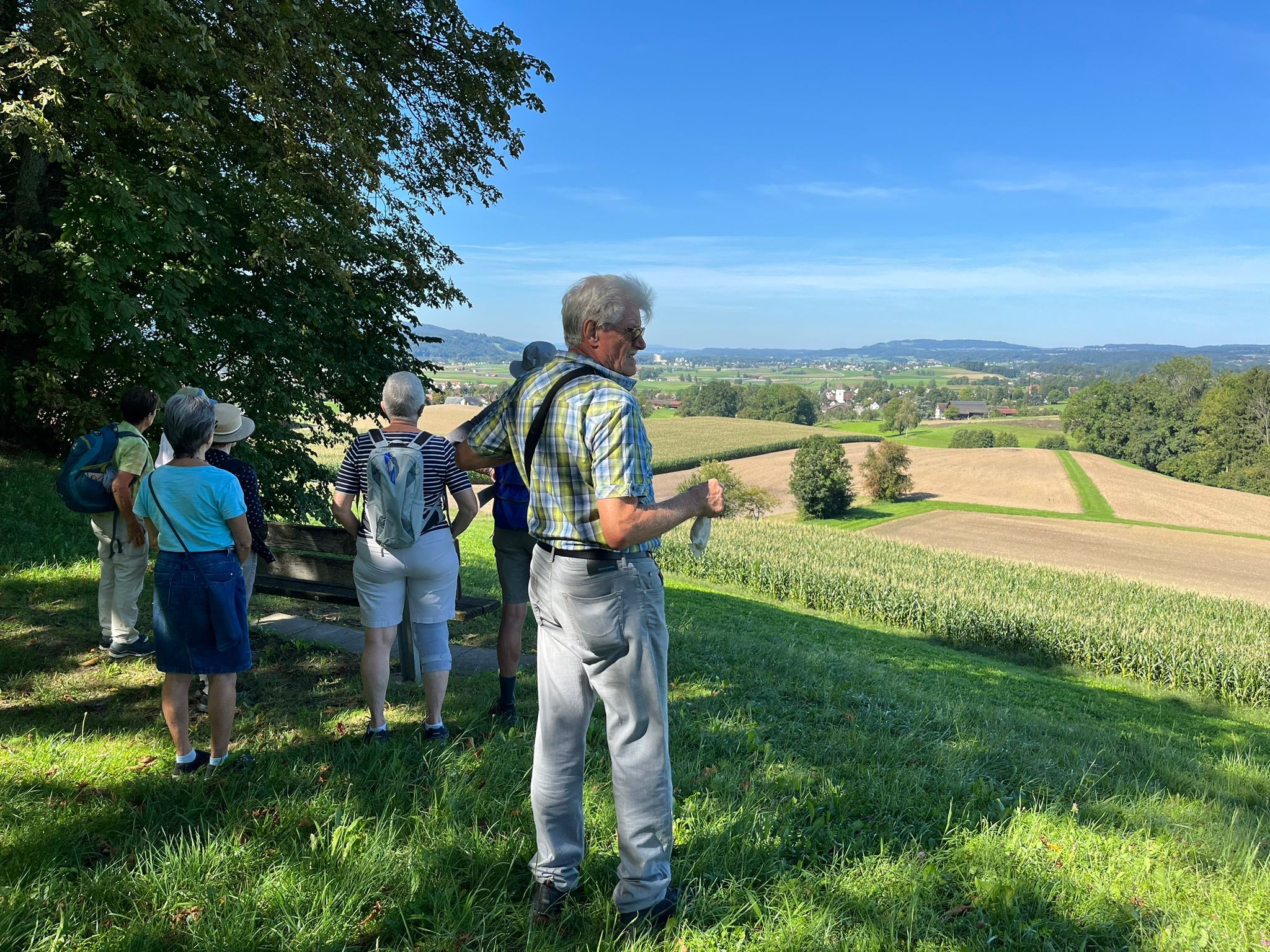 Aussicht Richtung Märstetten